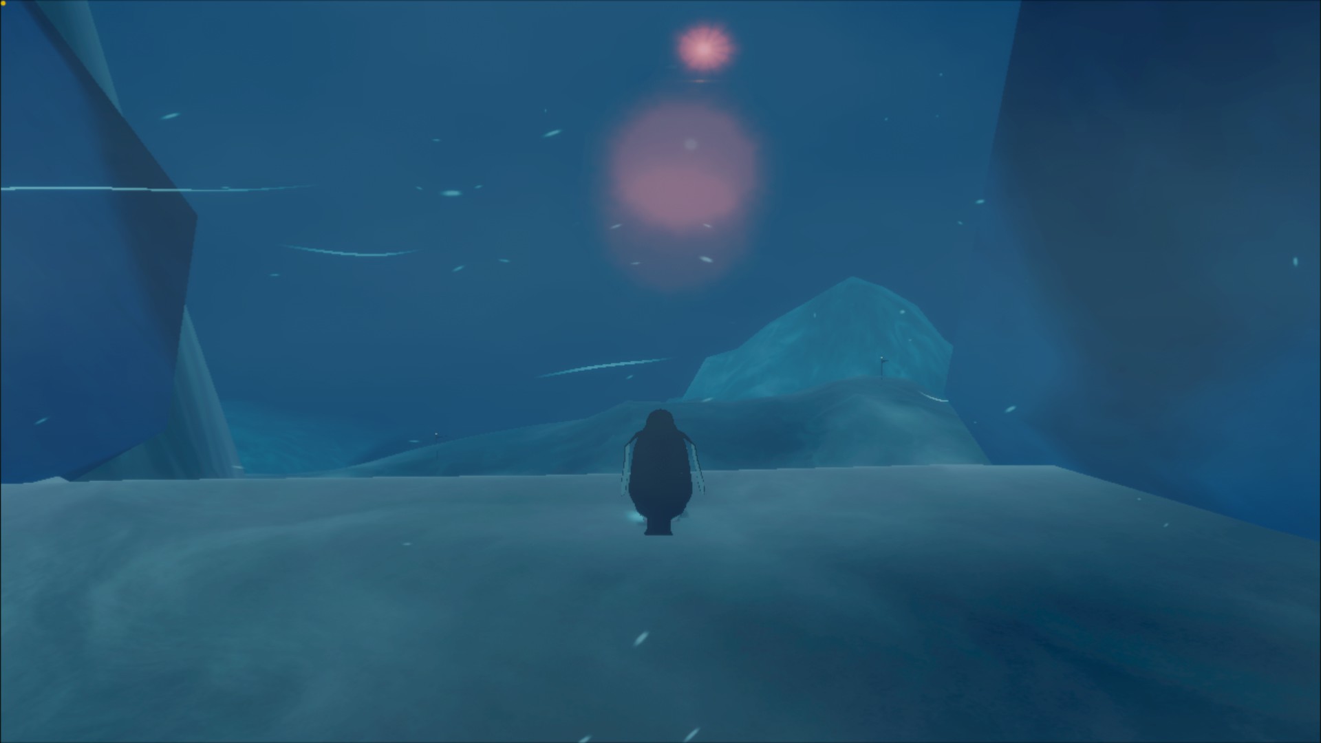 Penguine Colony.jpg